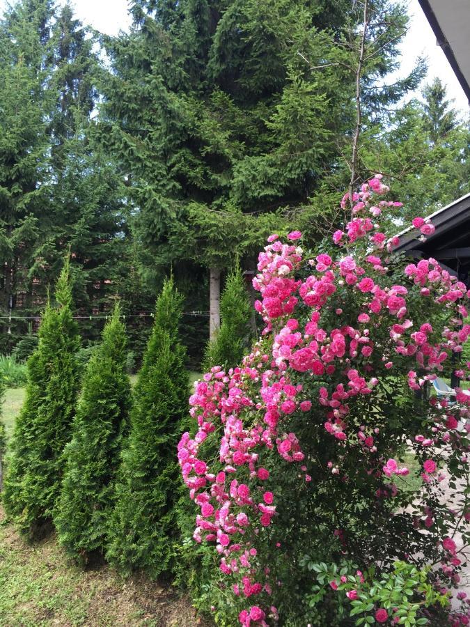 Vila Borovic Zlatibor Eksteriør bilde