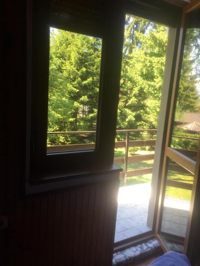 Vila Borovic Zlatibor Eksteriør bilde