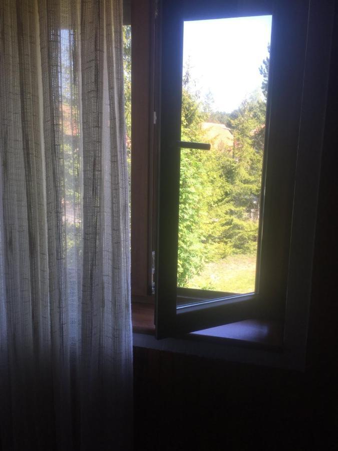 Vila Borovic Zlatibor Eksteriør bilde