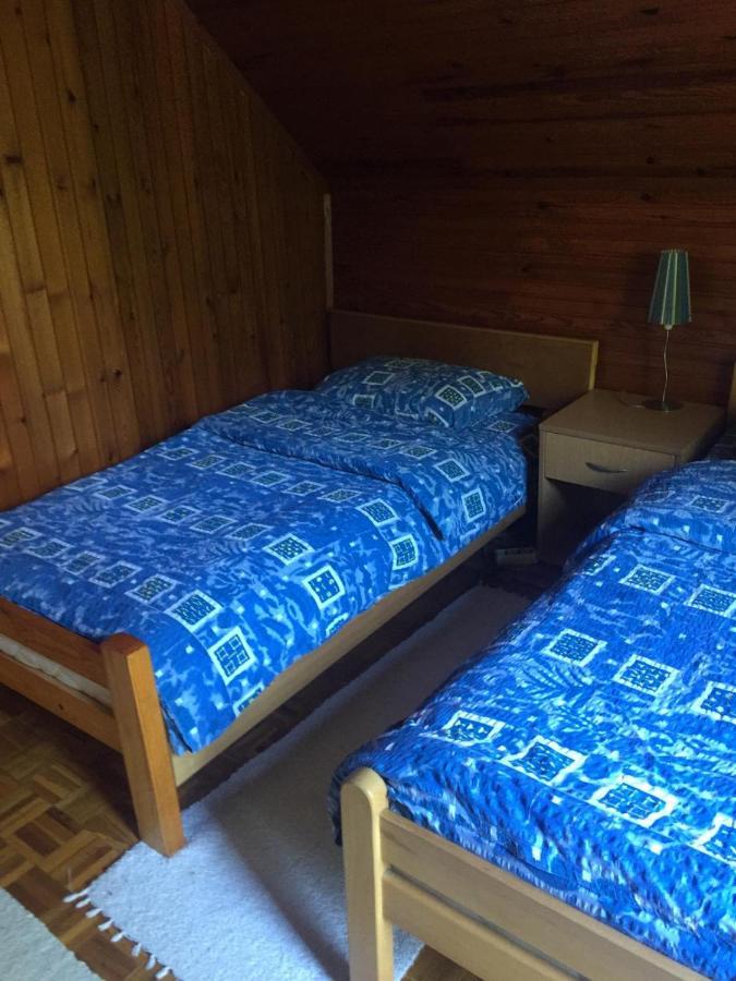 Vila Borovic Zlatibor Eksteriør bilde