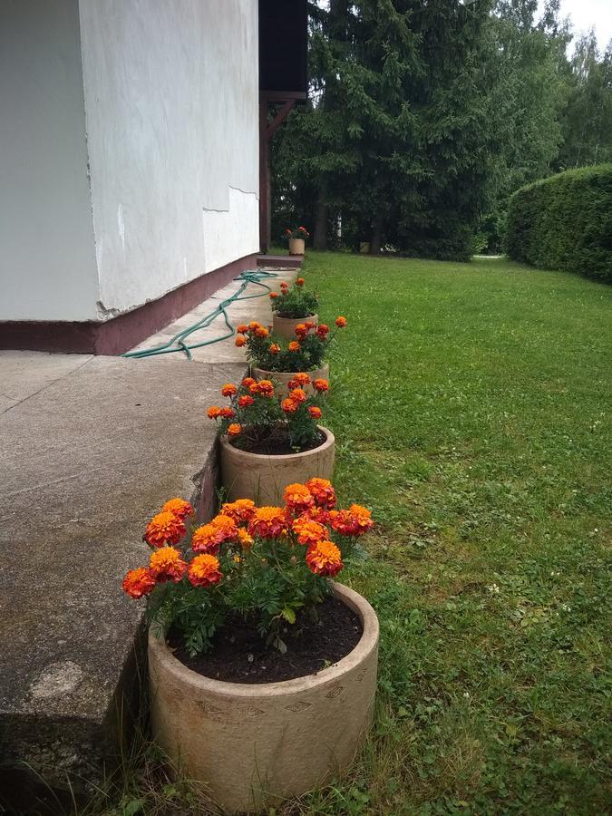 Vila Borovic Zlatibor Eksteriør bilde