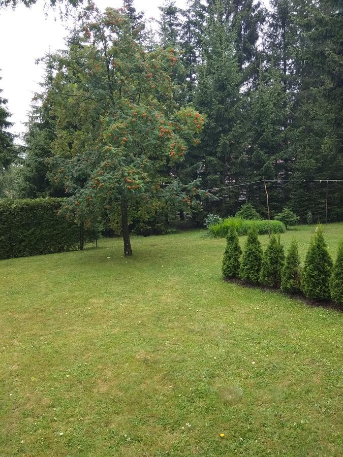 Vila Borovic Zlatibor Eksteriør bilde